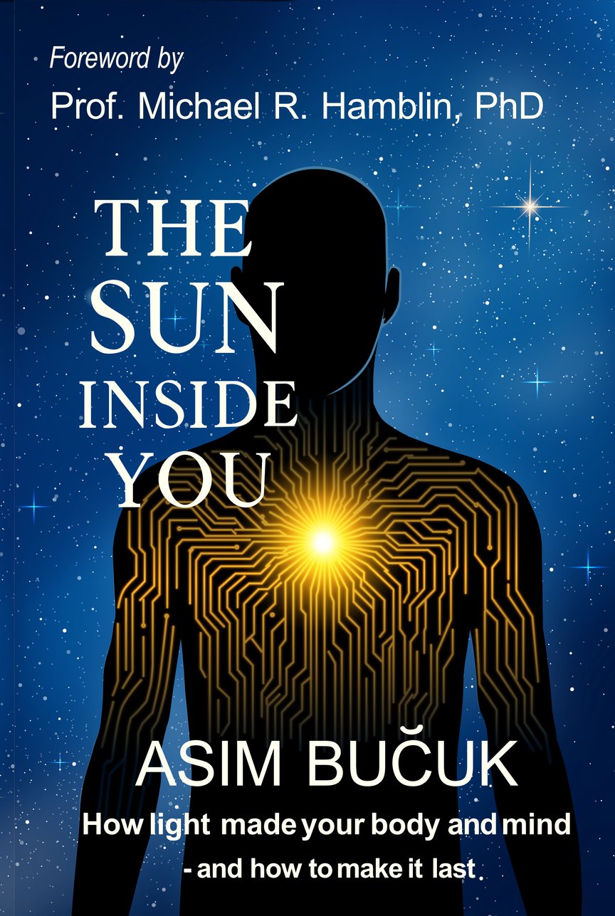 The Sun Inside You — by Asim Bučuk